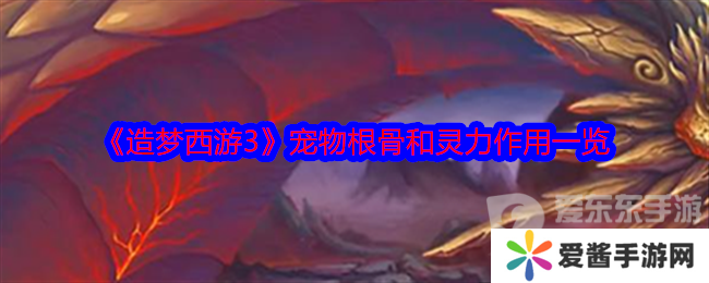 造梦西游3宠物根骨和灵力有什么用 宠物根骨和灵力作用介绍