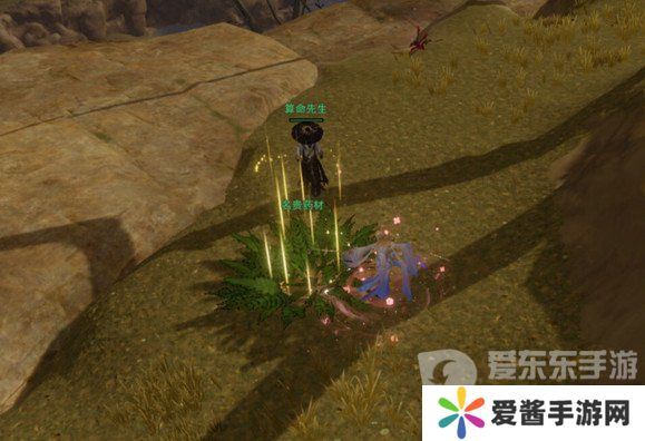 剑网3茸茸怎么获取 茸茸获取方法