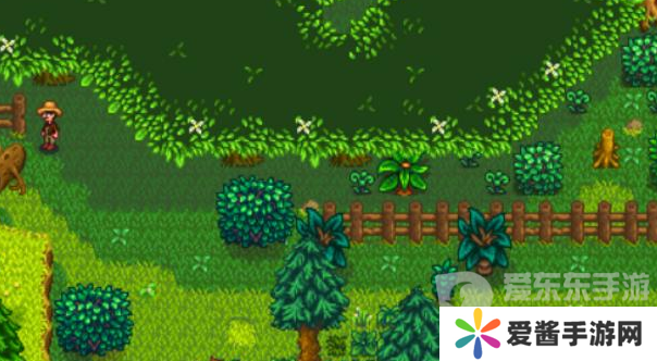 星露谷物语森林怎么解锁 森林解锁方法介绍