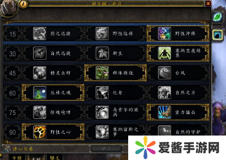 熊猫人武僧最佳怎么搭配-熊猫人武僧最佳装备搭配攻略 image.png