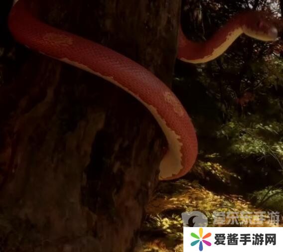 黑神话悟空角色有哪些 黑神话悟空角色介绍