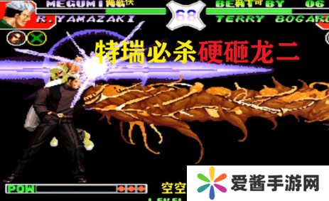 拳皇97特瑞怎么连招-拳皇97特瑞连招攻略 image.png