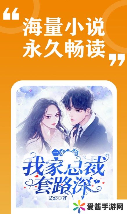 小说分类十分明确