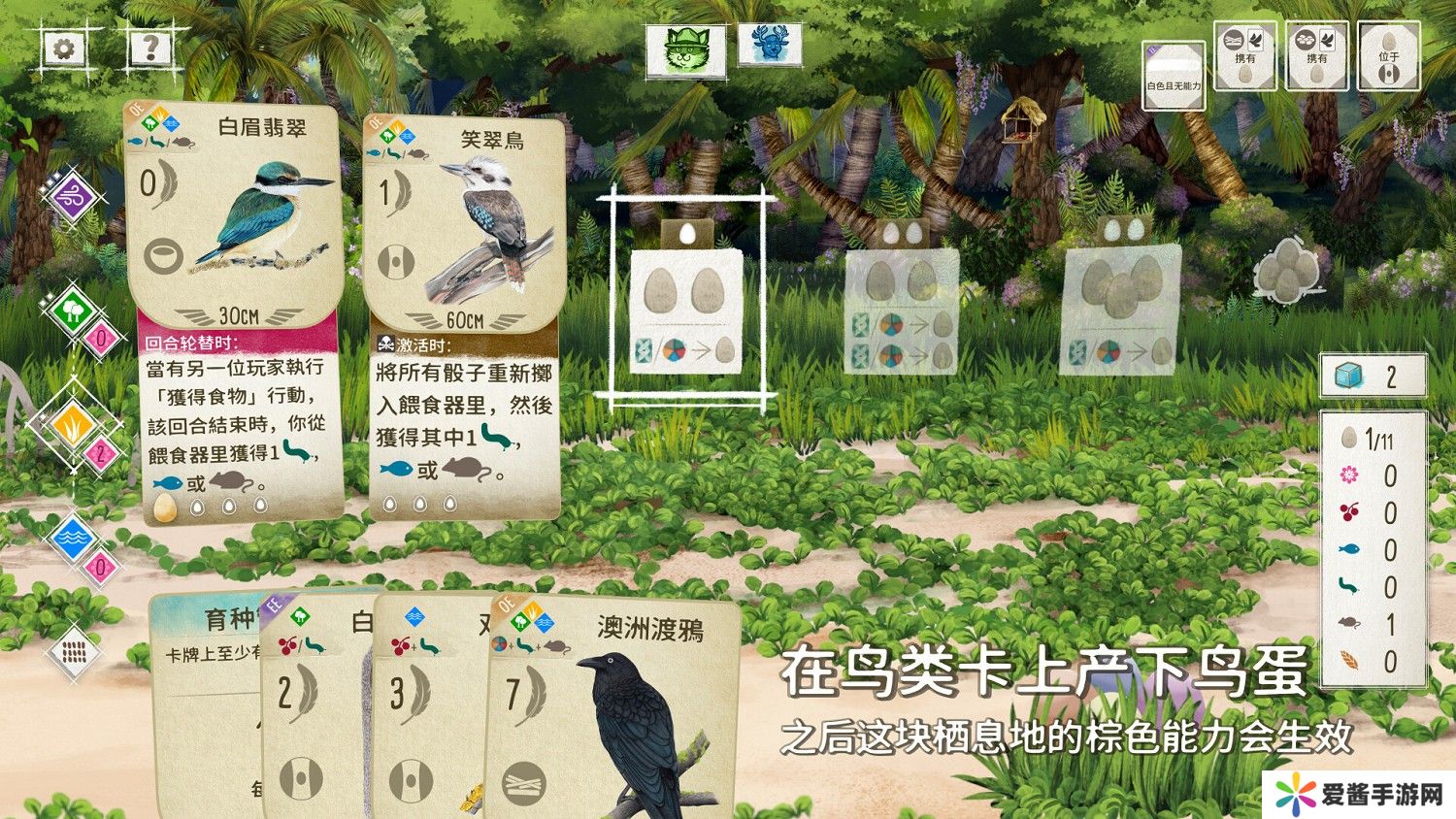 展翅翱翔测评:破开圈层体会平时关注不到的乐趣 展翅翱翔测评:破开圈层体会平时关注不到的乐趣