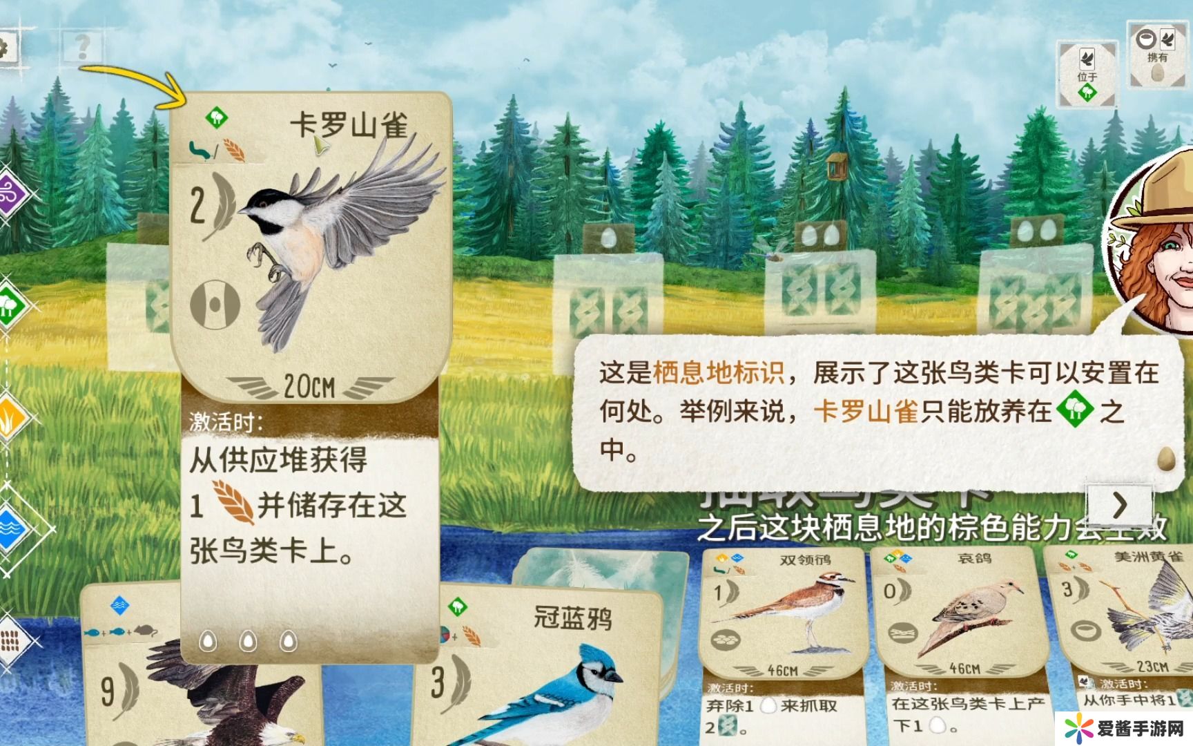 展翅翱翔测评:破开圈层体会平时关注不到的乐趣 展翅翱翔测评:破开圈层体会平时关注不到的乐趣