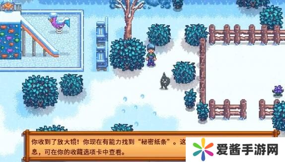 星露谷物语冬日谜团秘密纸条怎么使用 冬日谜团秘密纸条玩法攻略[多图]图片3