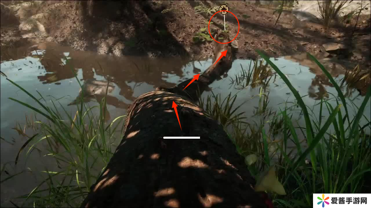 蚂蚁帝国第一关怎么玩 第1关玩法攻略[多图]图片4