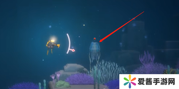 潜水员戴夫箱水母怎么抓 箱水母抓捕攻略[多图]图片1