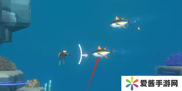 潜水员戴夫金枪鱼怎么抓 金枪鱼在哪里可以抓到[多图]图片1