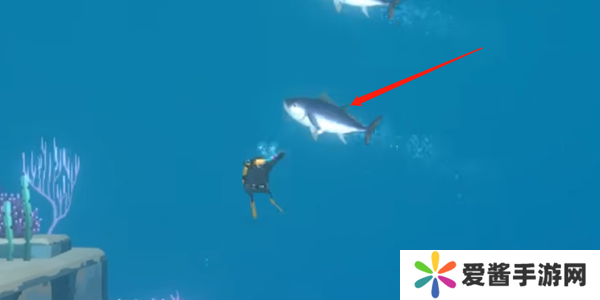 潜水员戴夫金枪鱼怎么抓 金枪鱼在哪里可以抓到[多图]图片2