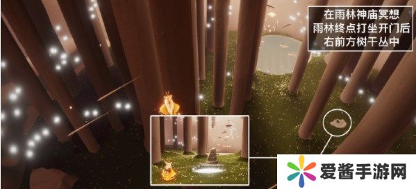 光遇7.3任务怎么做 光遇7月3日每日任务攻略[多图]图片4