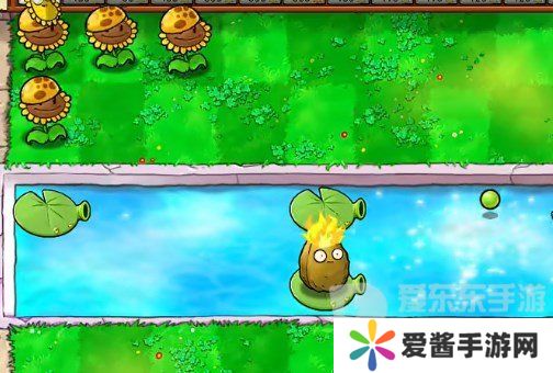 植物大战僵尸杂交版挑战模式第19关怎么过 第19关完美布局攻略