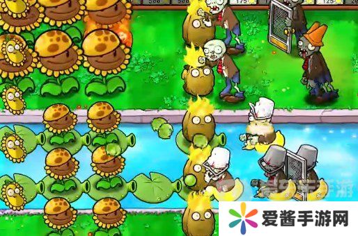 植物大战僵尸杂交版挑战模式第19关怎么过 第19关完美布局攻略